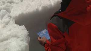 Avalanche Control-Freedom File