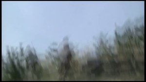 AFN Korea Update: D-Day