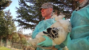 218th Medical Detachment VSS Arctic Care 2