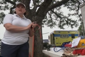 Minuteman Report: Texas Military Forces