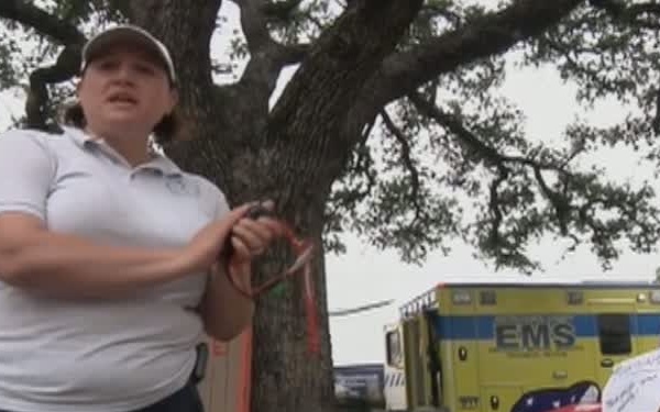 Minuteman Report: Texas Military Forces