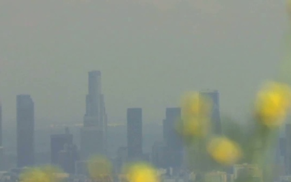 Administradora de la EPA McCarthy acerca del Mes de Concientización sobre el Asmama Awareness Month (Spanish)