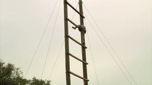 B-roll from the 2014 IMCOM Best Warrior Competition
