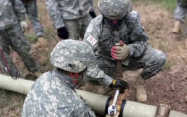 Spotlight Korea: IPDS