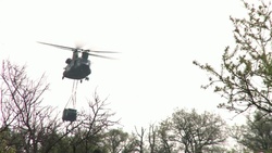 Dutch Forces Train With US Apaches And Black Hawks B-roll