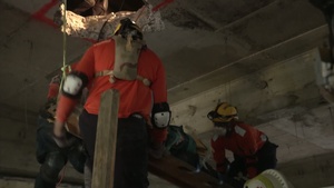 FA-HUM 2014 Earthquake-Collapsed Structure