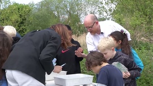 Pond Dipping
