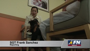 Pet Quarantine Facility, Korea