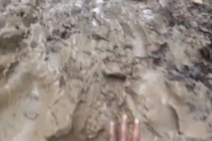 Minuteman Report: Indiana Guard "In Their Shoes" Mud Run