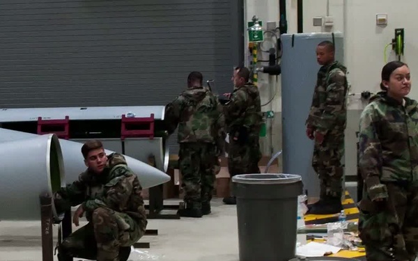 Through the IGs eyes