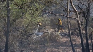 Firefighters Contain Fire Near East Miramar
