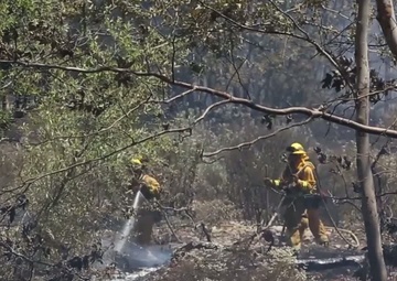 Firefighters Contain Fire Near East Miramar