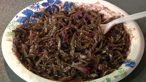 Fear Factor