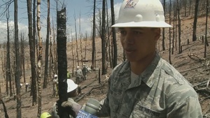 Waldo Fire Mitigation Efforts