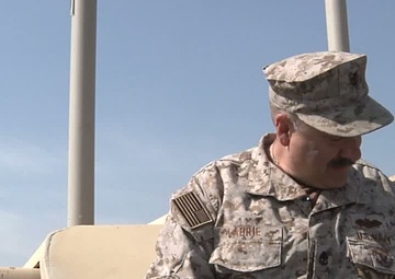 Freedom File: Same Vic New Tricks