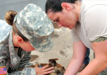 Army Veterinary Corps Anniversary