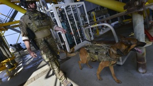 Coast Guard Maritime Security Response Team exercise