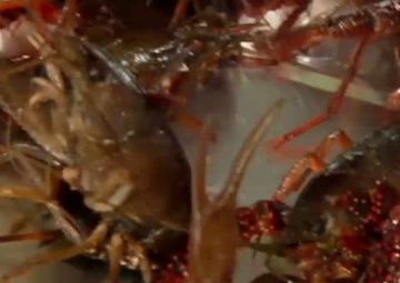 Soldiers Update: Fort Hood Fear Factor