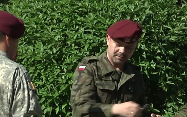 Allied Forces Exchange Jump Wings