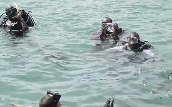 Tradewinds Diver Training