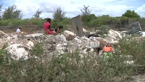 Tradewinds 2014 News Package