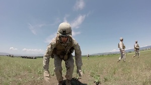 Marines, Georgian Troops Train for Stresses of Combat