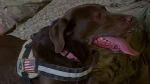 Enduring Freedom: SFC Coffee and SSG Bennett