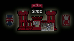 Sapper Stakes 2014