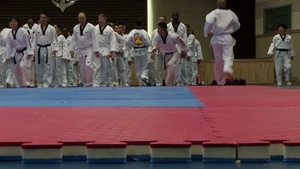 Taekwondo