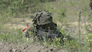 Danish Forces at Saber Strike