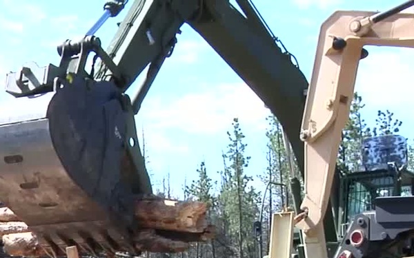 Timber Haul at 2014 Golden Coyote