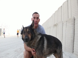 Working Dog Appreciation 5-K Run