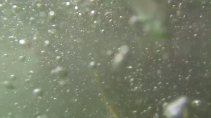 Under the Surface-News Package