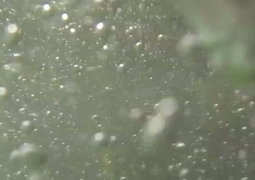 Under the Surface-News Package