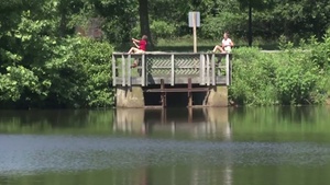 Summer Safety