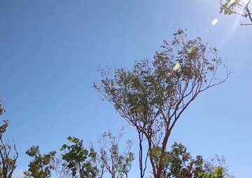 Charlie Company leads field exercise at Mount Bundey