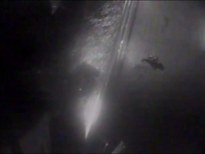 Woman Rescued Off Cruise Ship by Coast Guard Crew Near Boca Grande, Fla.