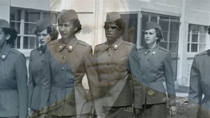 National Guard Contributions to Civil Rights Act