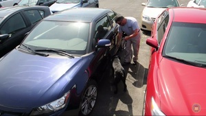 ATF K-9 Accreditation