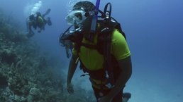 Multimedia U.S. Navy Divers in Belize 140705-N-IP743-001