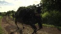 Legged Squad Support System (LS3) B-roll