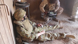Tactical Tele-Medicine