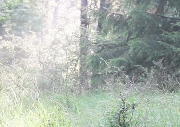 British Army Cadets and U.S. Army Cadets Conduct urban training