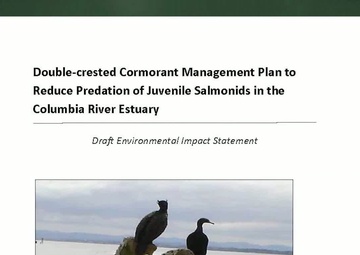 Double-crested cormorants on East Sand Island - draft EIS