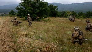 CONUS Air Alert Force Conducts Live Fire Platoon Attack with a Breach at Platinum Lion-2014 in Bulgaria