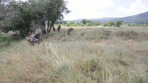 BSRF-14.2 Fires off Mortars and Conducts Attack Drills during Two Days of Live Fire at Platinum Lion-2014