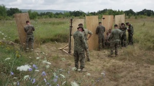 BSRF-14 Engineers and EOD Conduct Urban Breaching Range at Platinum Lion-2014
