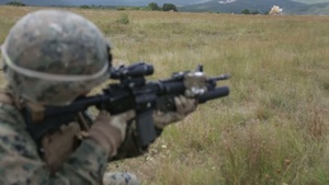 Black Sea Rotational Force 14.2 Conducts Last Live Fire Platoon Attack of Deployment at Platinum Lion-2014