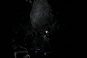 Coast Guard Rescues Stranded Hiker Near Shi Shi Beach, Wash.