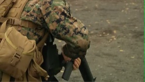 B-roll of CLC 36 Marines Shoot Rifles at Camp Fuji During Exercise Dragonfire